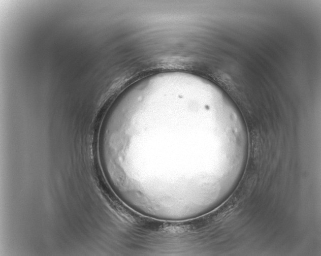 X0000056030299200509170043