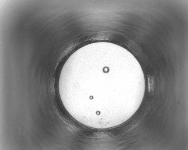 X0000056030300200509170043