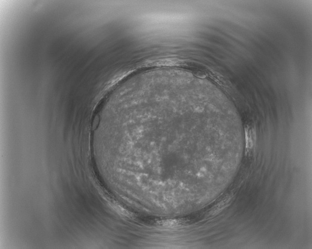 X0000056030301200509170043