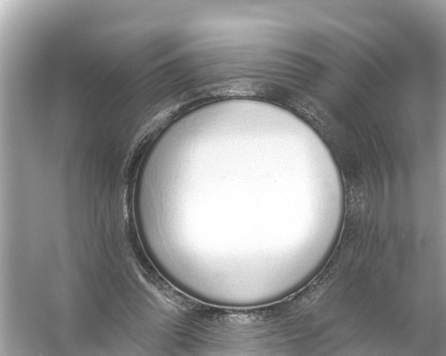 X0000056030302200509170043