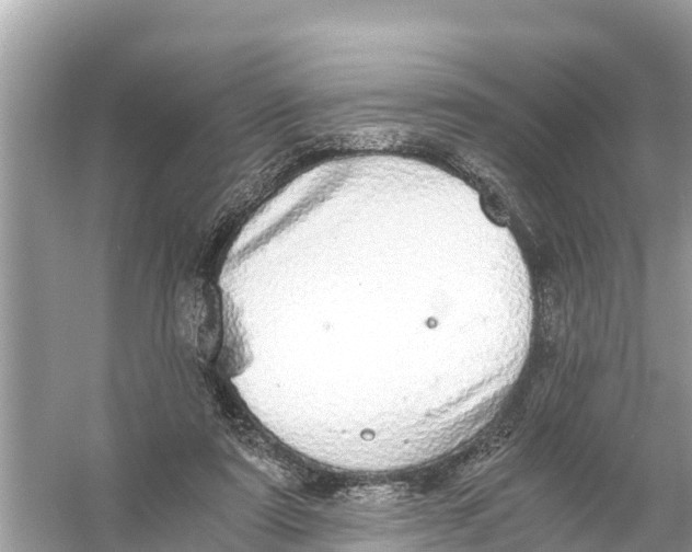 X0000056030307200509170043