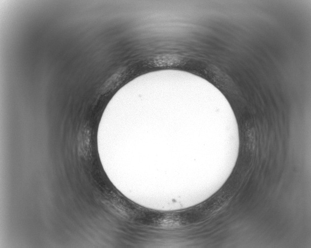 X0000056030308200509170043