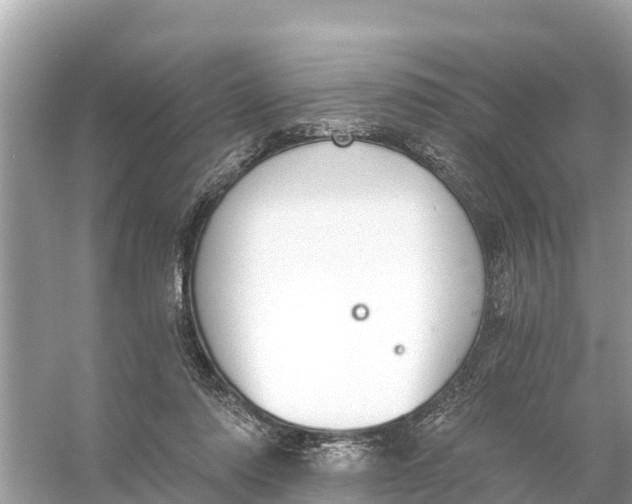 X0000056030310200509170043