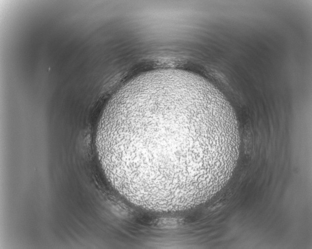 X0000056030314200509170043