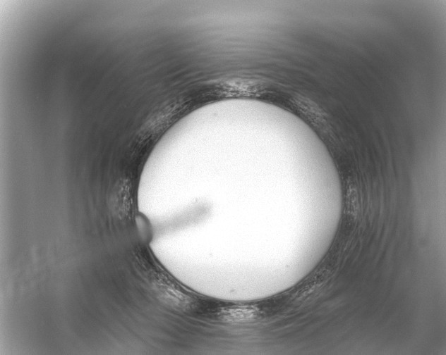 X0000056030318200509170043