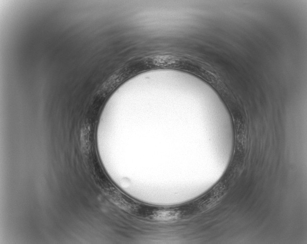 X0000056030319200509170043