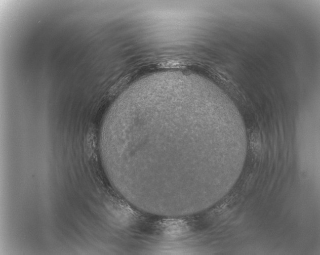 X0000056030322200509170043