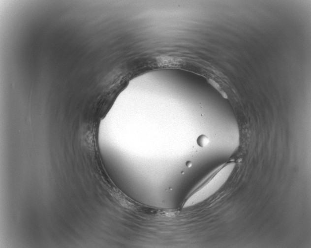 X0000056030329200509170043