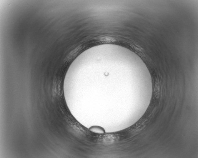 X0000056030330200509170043