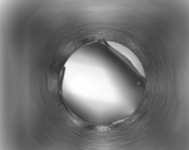 X0000056030333200509170043