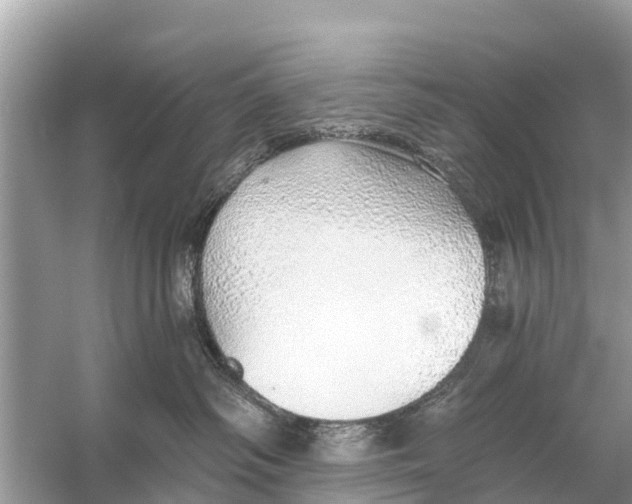 X0000056030334200509170043