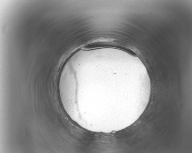 X0000056030337200509170042