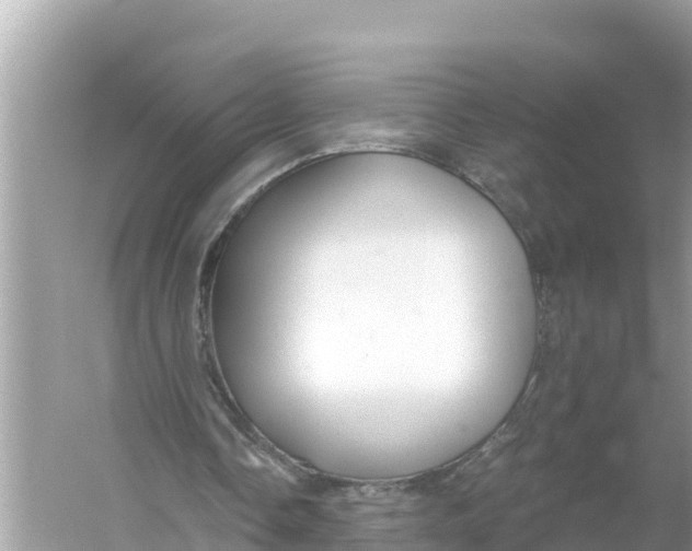 X0000056030338200509170042