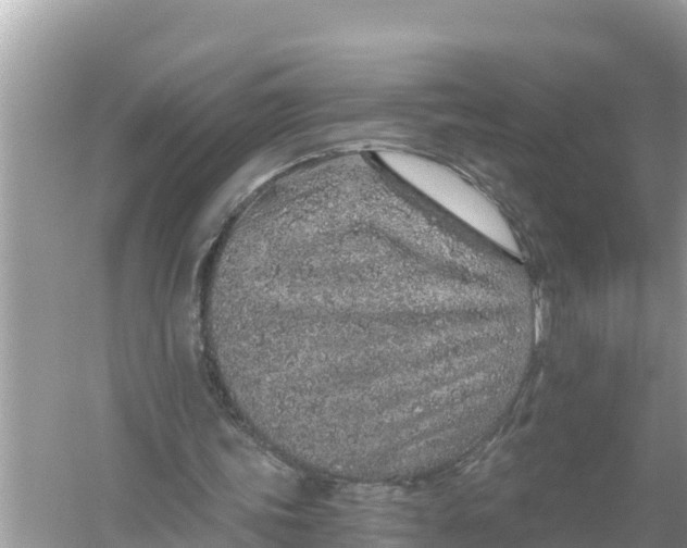 X0000056030339200509170042