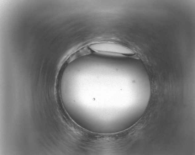 X0000056030340200509170042