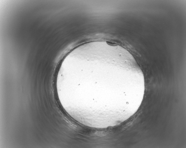 X0000056030341200509170042