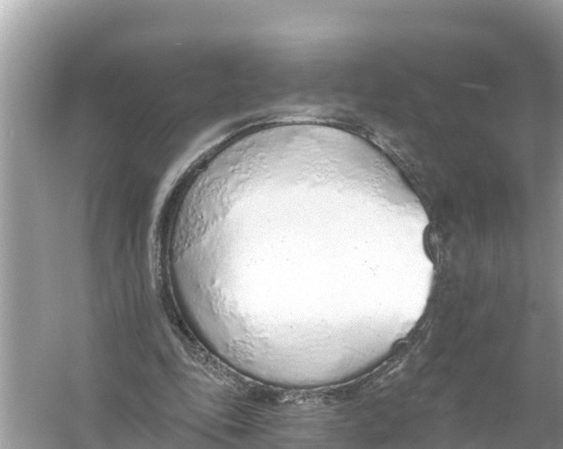 X0000056030343200509170042