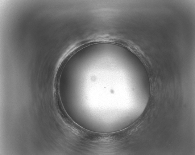 X0000056030344200509170042