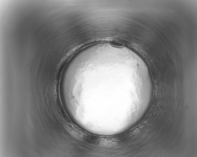 X0000056030346200509170042