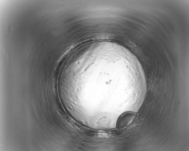 X0000056030347200509170042