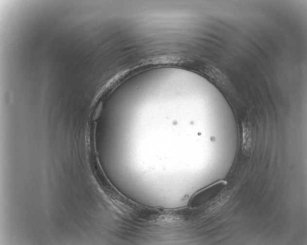 X0000056030348200509170042