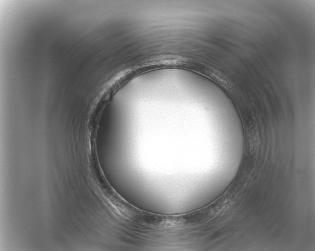 X0000056030350200509170042