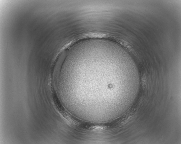 X0000056030352200509170042