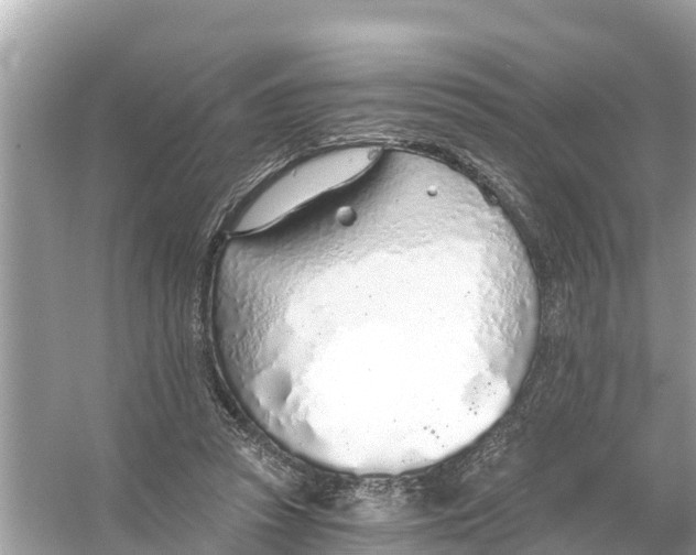 X0000056030353200509170042