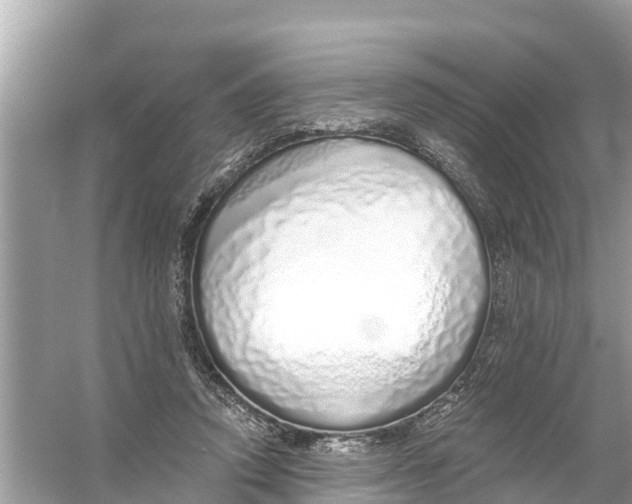 X0000056030354200509170042