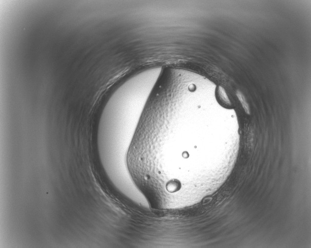 X0000056030356200509170042