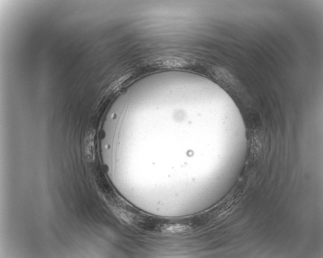 X0000056030360200509170042