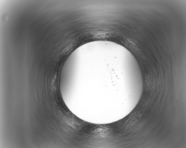 X0000056030364200509170042