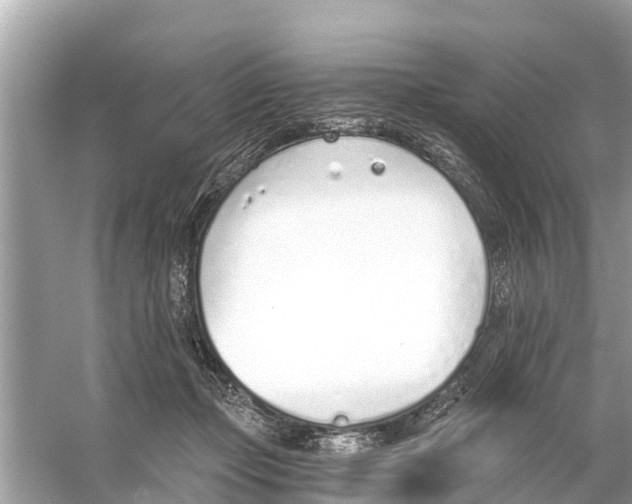 X0000056030365200509170043