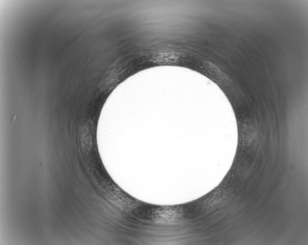 X0000056030370200509170043