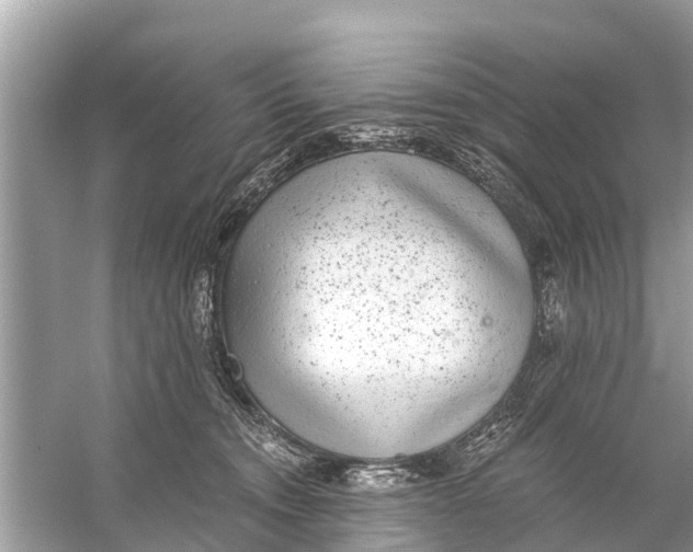 X0000056030372200509170043