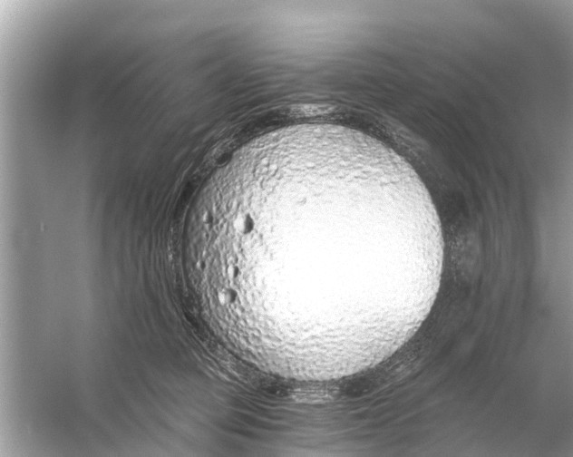 X0000056030373200509170043