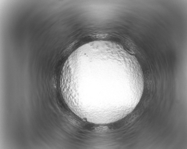 X0000056030374200509170043