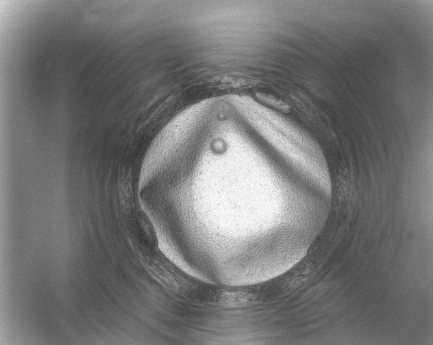 X0000056030376200509170043