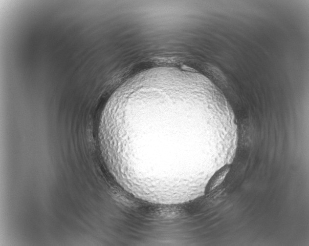 X0000056030377200509170043