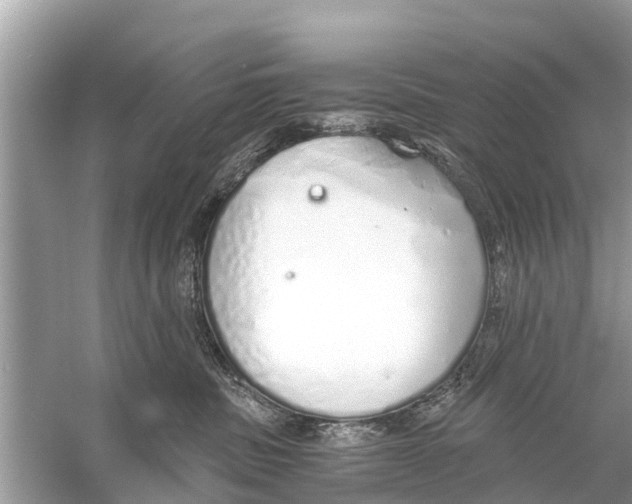 X0000056030379200509170043