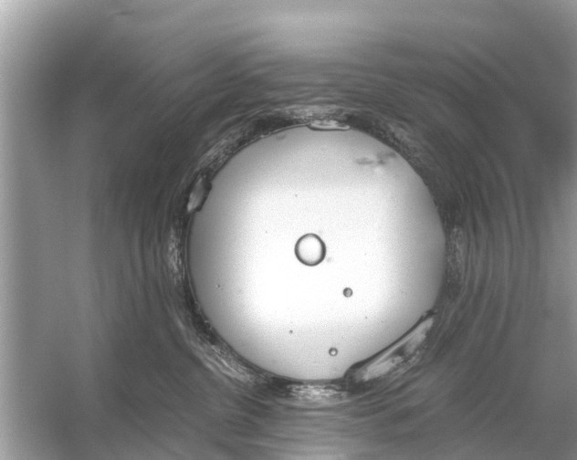 X0000056030380200509170043