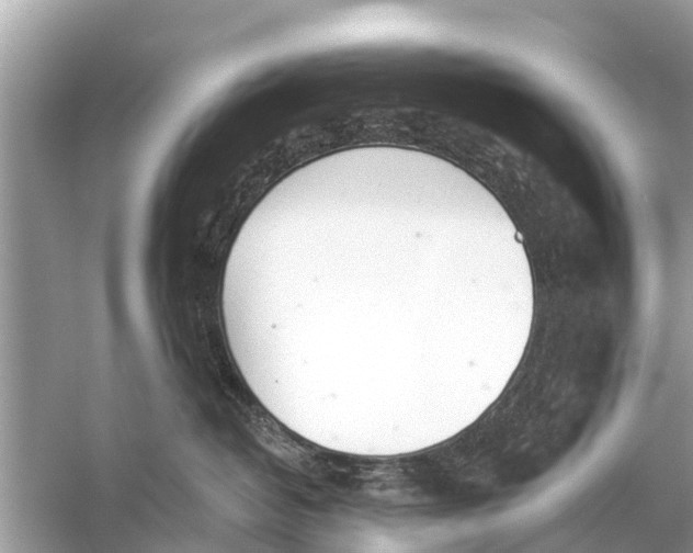 X0000056030382200509170043