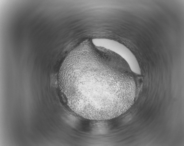 X0000056030383200509170043