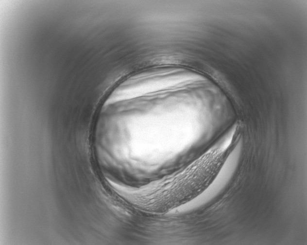 X0000056030386200509170042