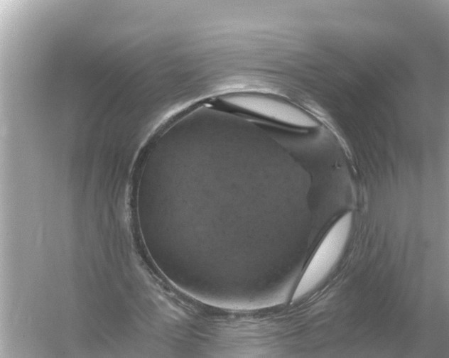 X0000056030387200509170042