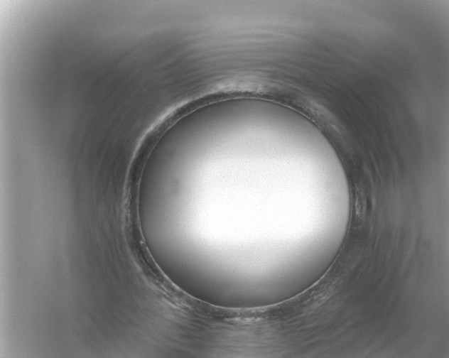 X0000056030388200509170042