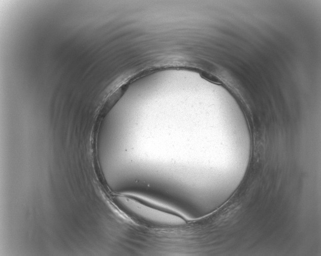 X0000056030389200509170042