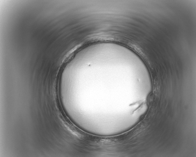 X0000056030390200509170042