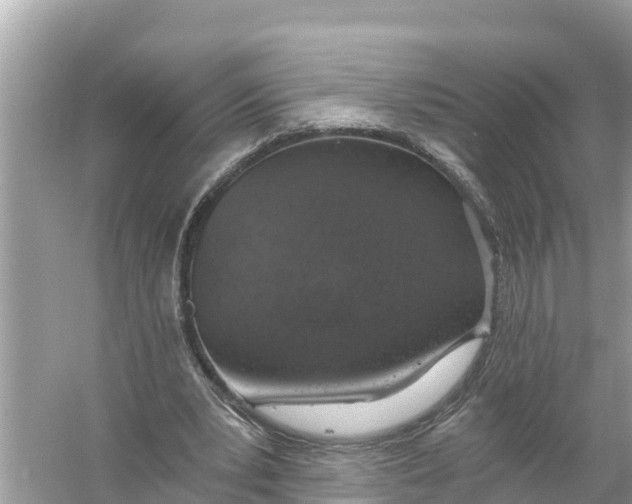 X0000056030391200509170042