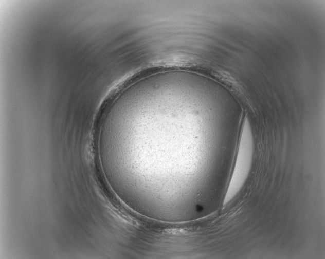 X0000056030392200509170042